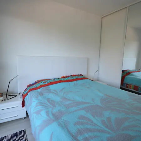 Deluxe One-bedroom Apartment Cannes